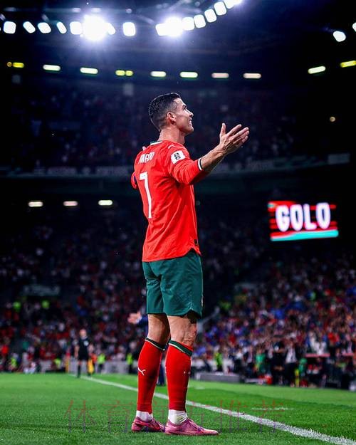 2026世界杯荷兰C罗赛事预测最新更新